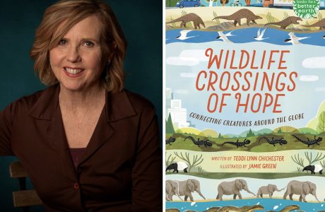 In her first book for young readers, Teddi Chichester aims to inspire compassion for wildlife